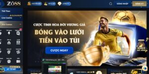 Khuyến Mãi Cá Cược Thể Thao - Săn Bonus Và Vé Free Bet